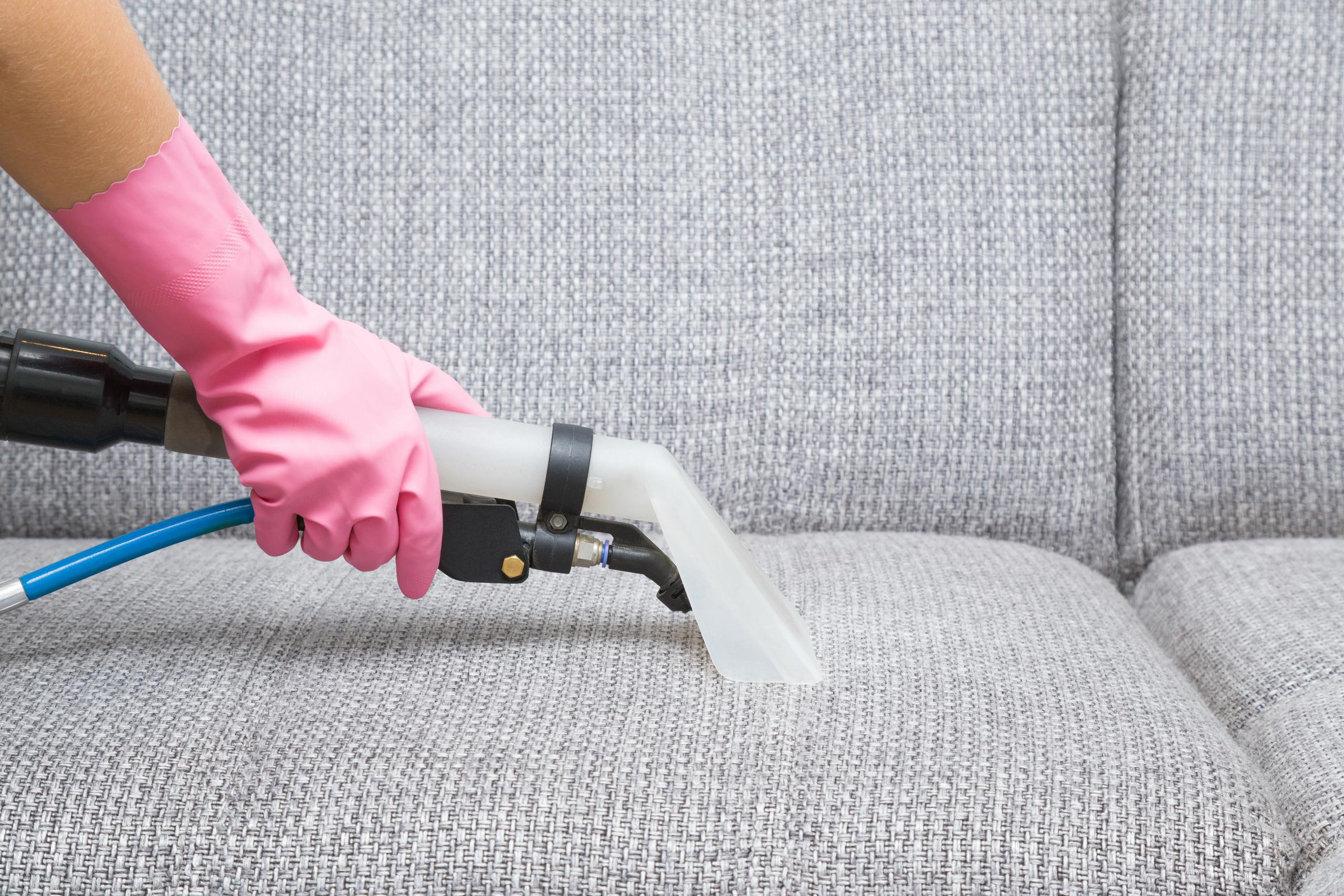cleaning unbiased teppichreinigung disinfect